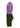 #renk_viola