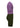 #renk_viola